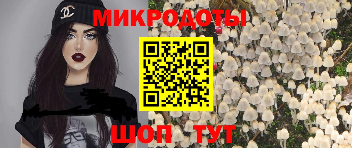 закладка  Вход с VPN  Галлюциногенные грибы Magic Shrooms  Гай  Галлюциногенные грибы Cubensis 
