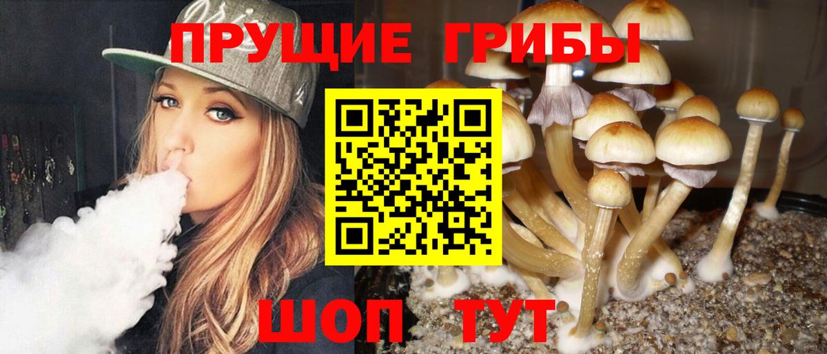 Галлюциногенные грибы Magic Shrooms Гай
